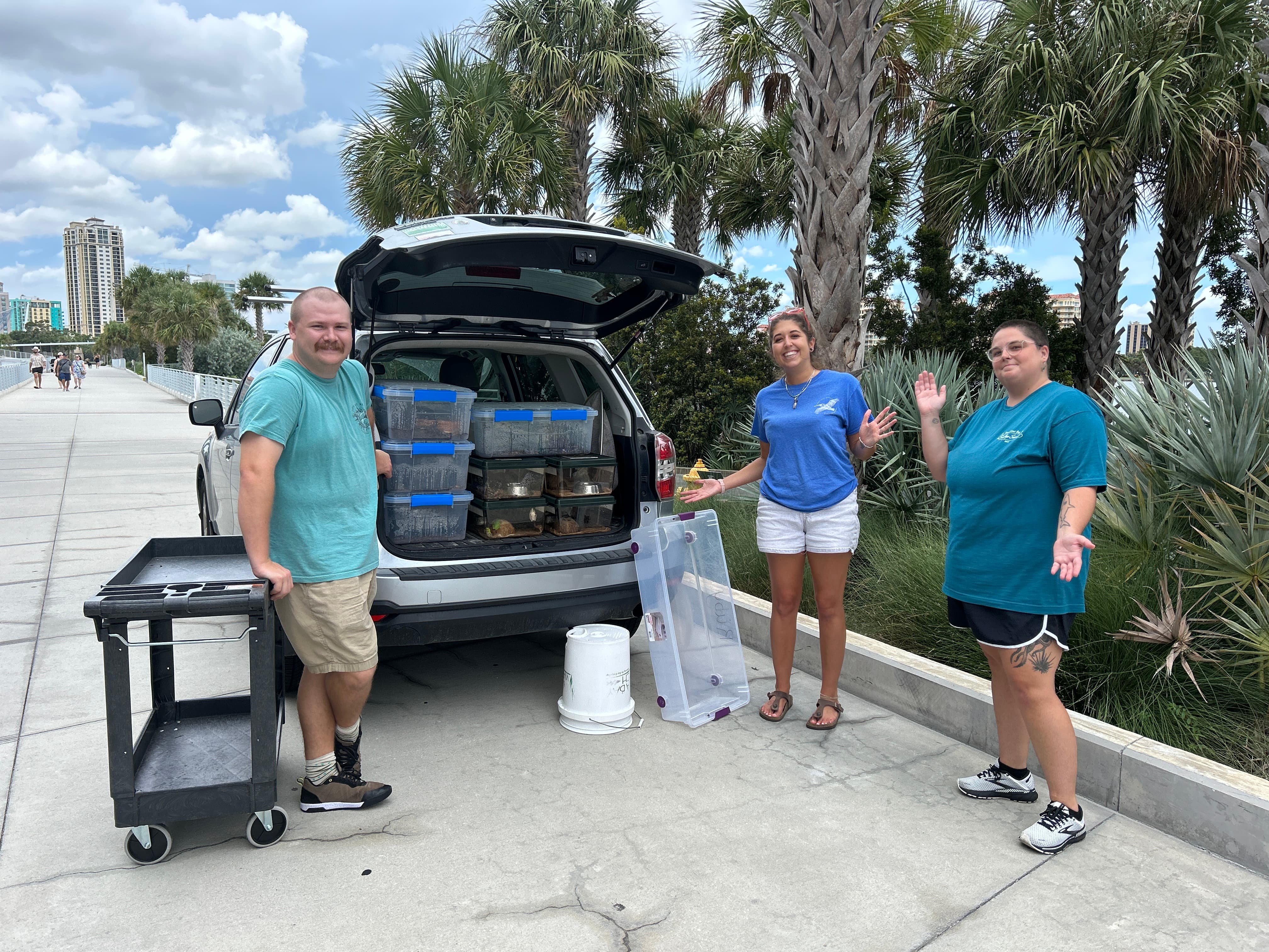 Tampa Bay Watch staff members evacuating animals
