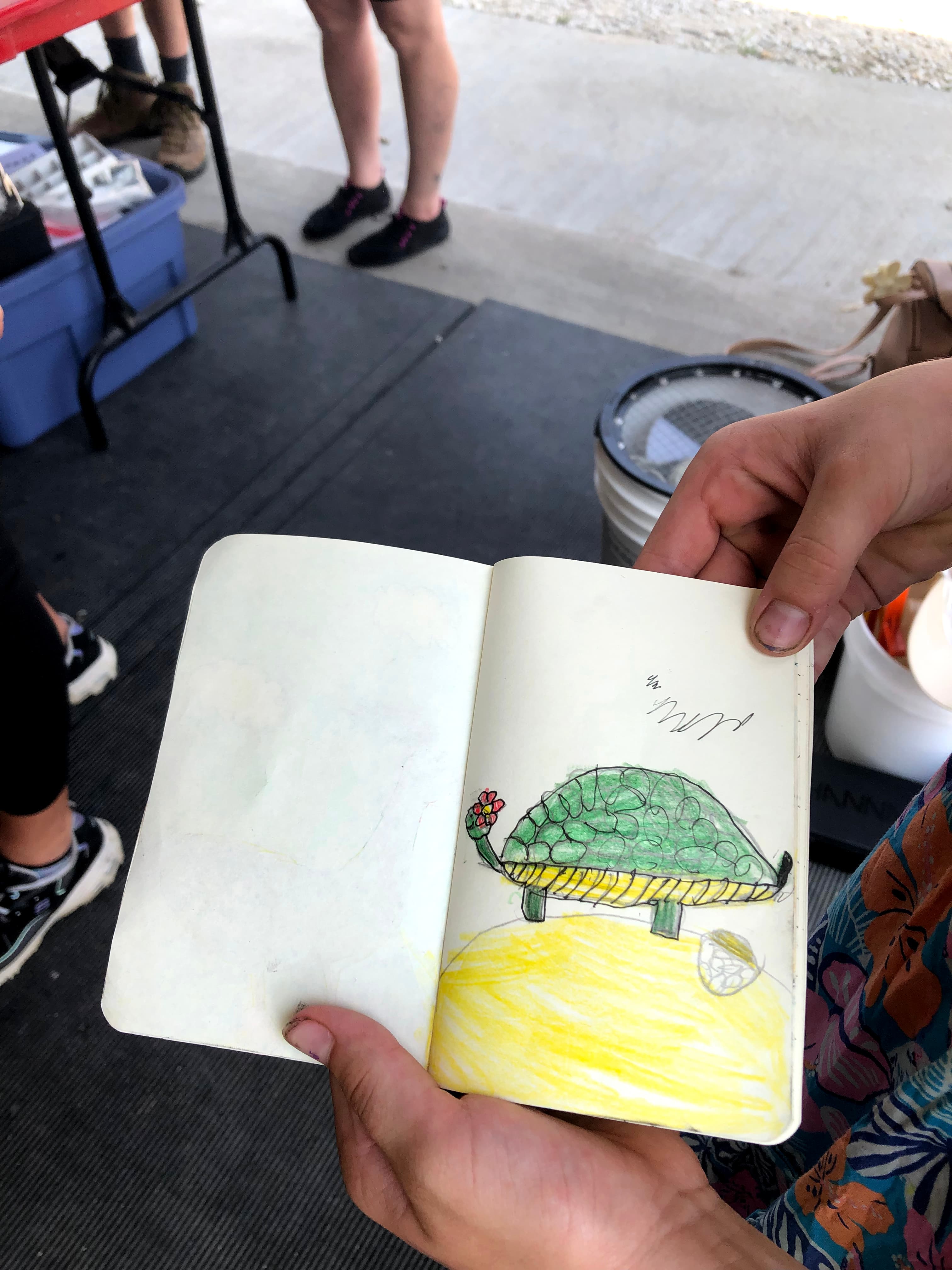 Nature journal page showing a turtle drawing