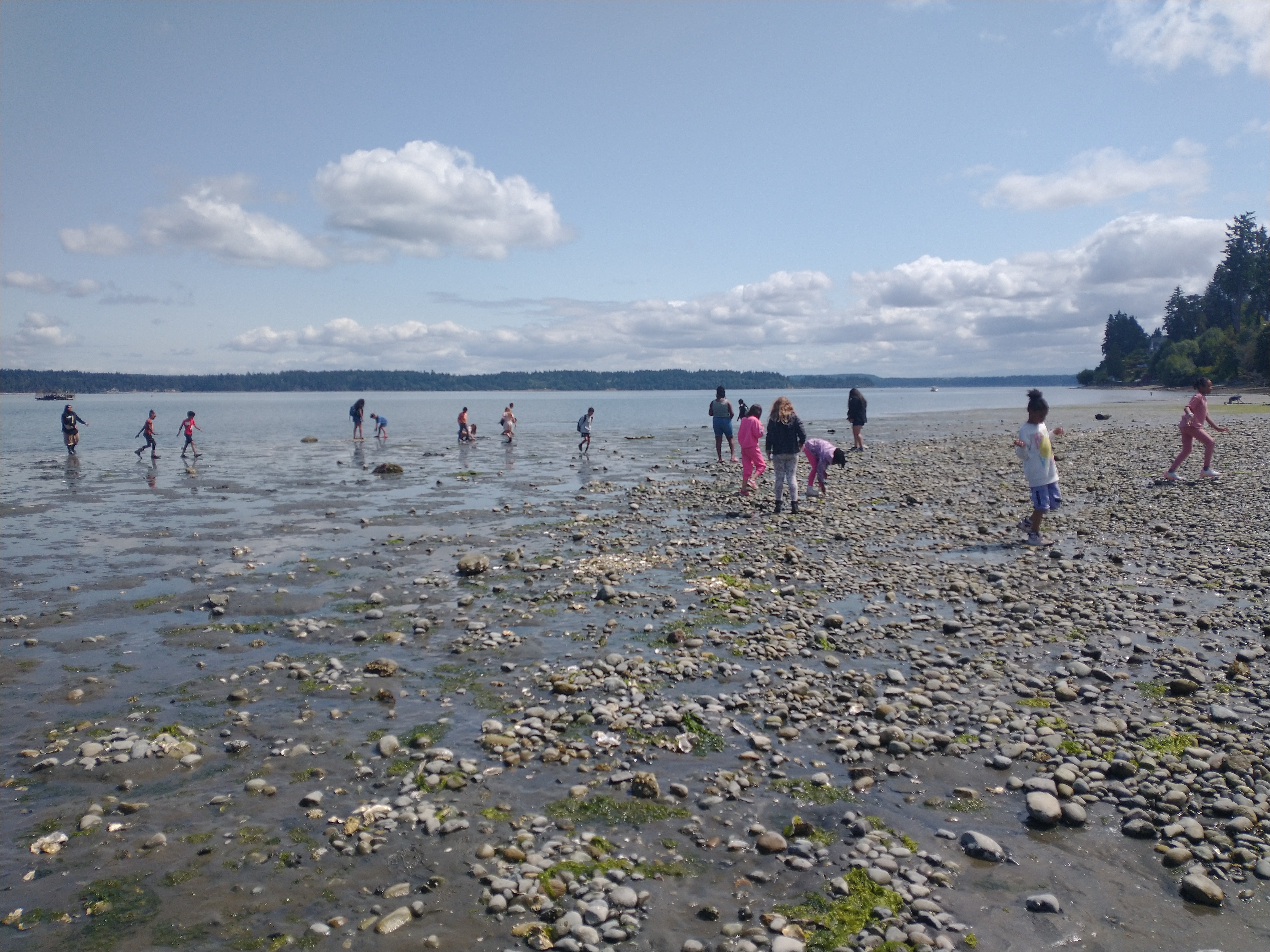Group of students at a beach on a sunny day