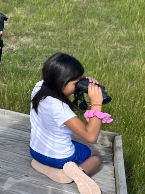 A female child wearing a white shirt sits on a boardwalk and looks through binoculars at the prairie grasses below her. 