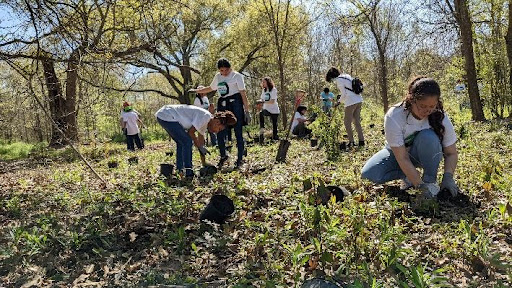 A group of people planting under trees near a bayou