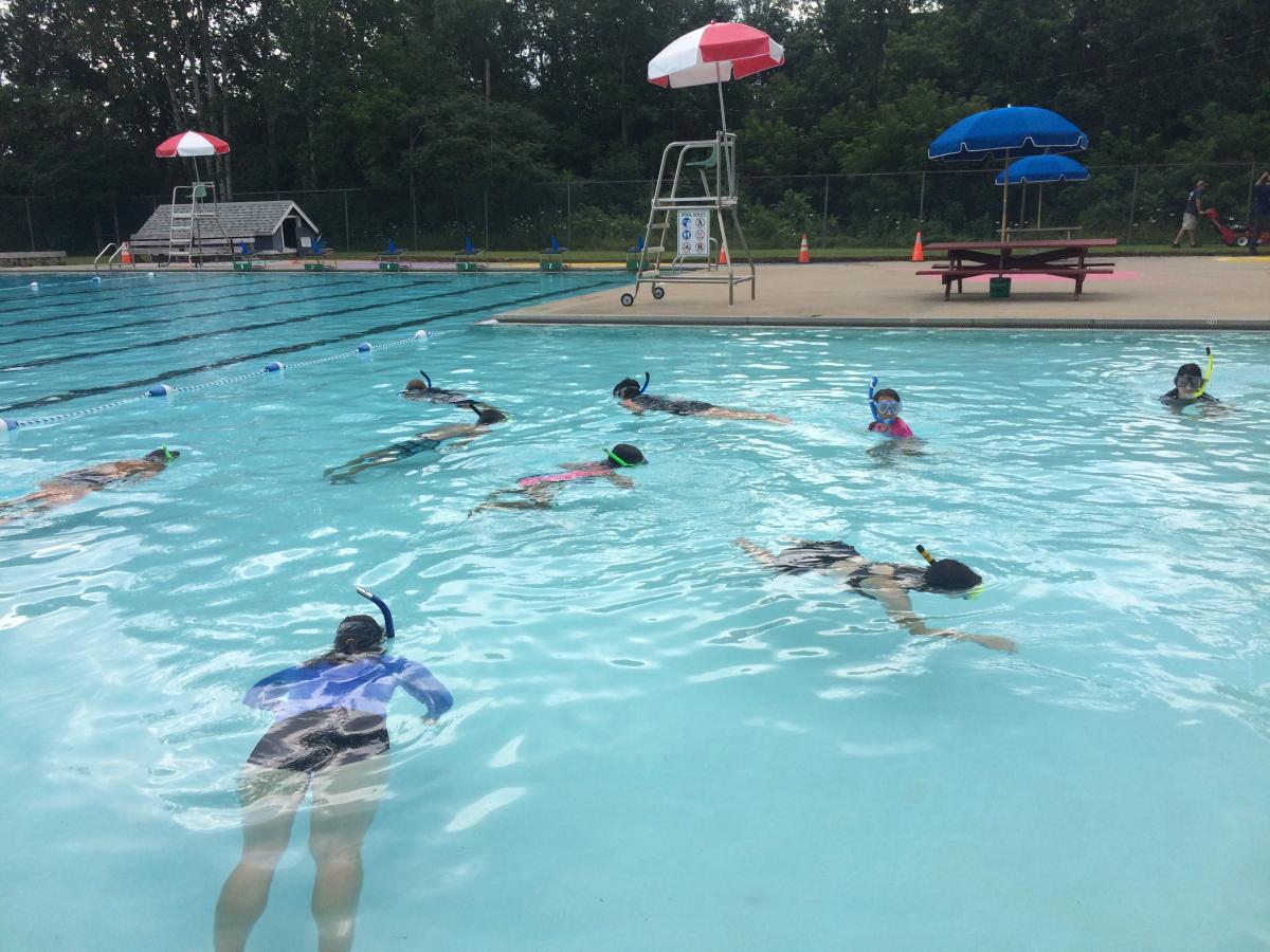 9 Students float face down, wearing masks and breathing out of snorkels, in a blue pool with an empty lifeguard chair and empty swimming lanes in the background