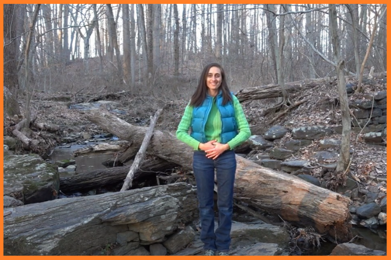 Nature Breaks: If you cannot take students outside, bring nature inside! Photo Credit: David Kline