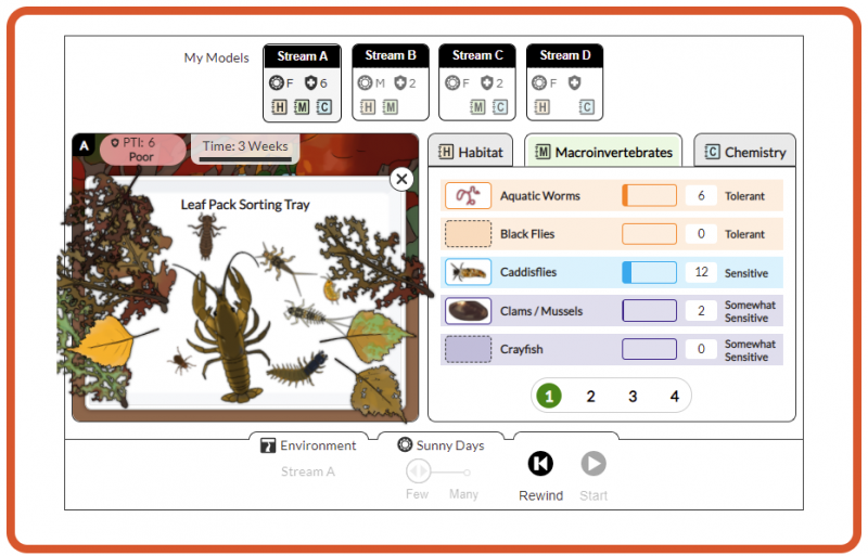 Leaf Pack Simulation: The Leaf Pack Simulation allows any online user to become a water quality scientist! Photo Credit: David Kline