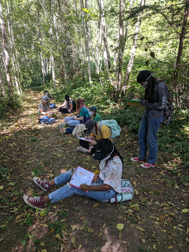 A group of kids sitting in a forest.