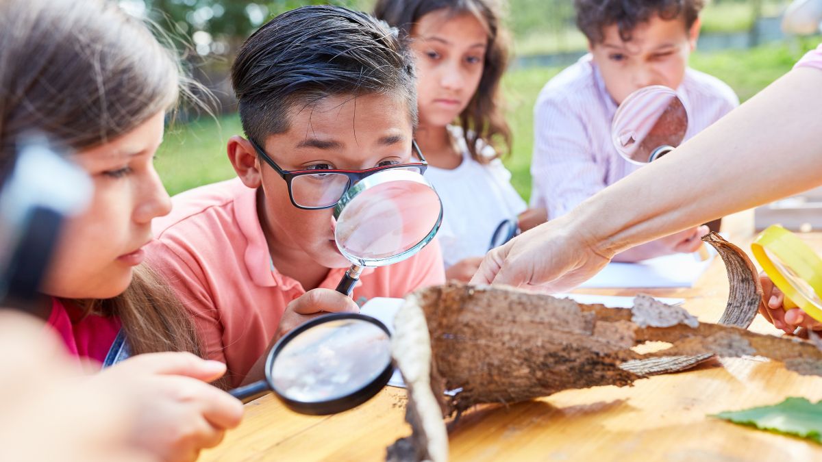 young students examining tree bark with a magnifying glass