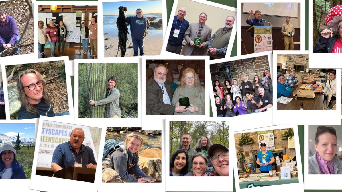 Collage of photos from PAEE