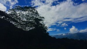 Leaf-filled trees line a dark mountain range under a blue sky filled with wispy cirrus clouds. 