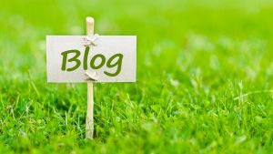 A blog post: A little wooden sign with the word "blog" written on it is posted in green grass. 