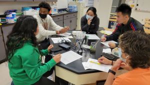 Students testing water from local aquatic ecosystems