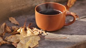 Orange mug on wooden bench. Fall leaves.