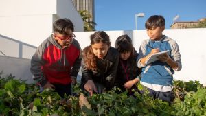 Four kids study a row of growing plants
