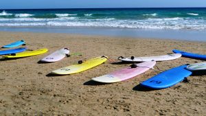 Surfboards on a beach. 