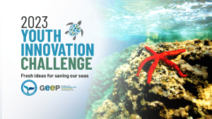 2023 Youth Innovation Challenge logo with red starfish sprawled across underwater coral. 