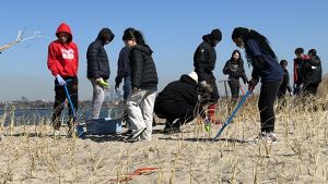 A group of kids on a beach in New York planting dune grass as part of the NWF RiSC program.