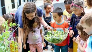 Children and teacher collecting lettuce from the garden