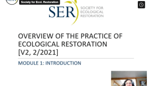 Screenshot of SER's online course video