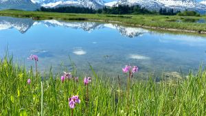 Valdez Alaska landscape with water and mountains