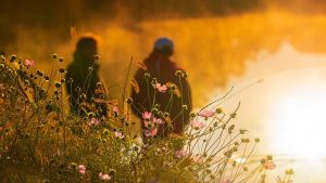 Photo of flowers in warm sunlight, and in the background, two blurry persons