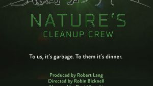 Nature's Cleanup Crew