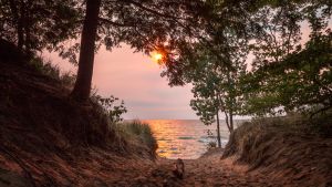 Sandy path towards Lake Michigan at sunset