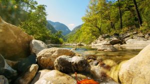 Idyllic valley with mountain river