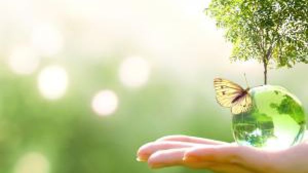 Open hand with a stylized drop of water with a tree and butterfly on it.