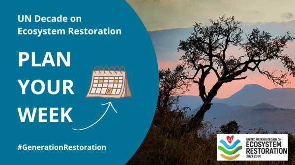 Banner for UN Decade on Ecosystem Restoration Weekly Events.