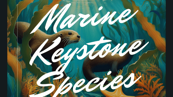 2025 Science Without Borders Challenge 2025 Science Without Borders Challenge Theme Marine Keystone Species