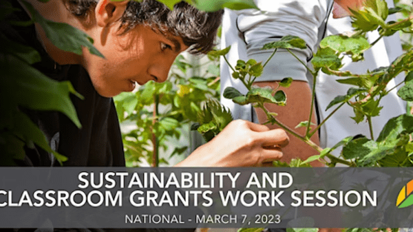 decorative image of male student inspecting a plant