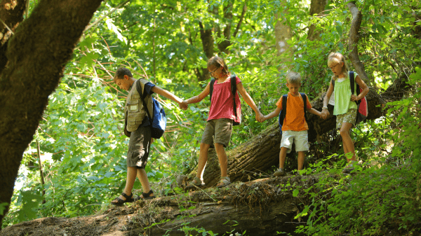 Four children hold hands and walk along a fallen tree; a green forested area is behind them