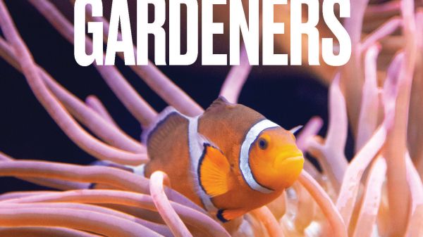 Coral Gardeners Coral Gardeners