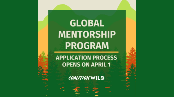CoalitionWILD Mentorship Program A graphic announces a "GLOBAL MENTORSHIP PROGRAM." Below this, in smaller text, it states "APPLICATION PROCESS OPENS ON APRIL 1"