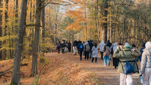 muslim students walking in nature between trees as part of the Greening our Communities Toolkit