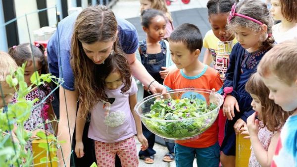 Children and teacher collecting lettuce from the garden