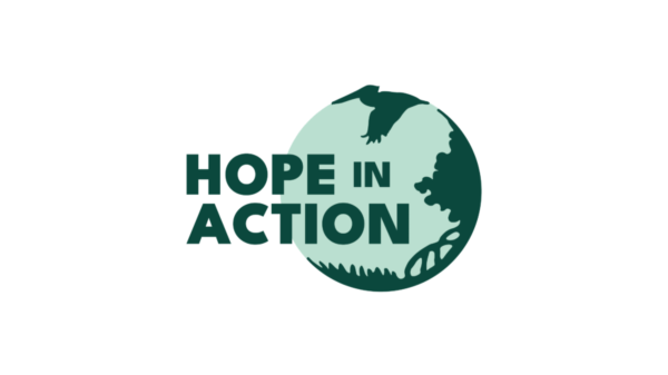 A logo that reads "HOPE IN ACTION" and shows grass, mangroves, and a pelican.