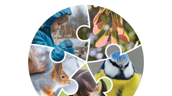 Cover of International Journal of Early Childhood Environmental Education (IJECEE) Volume 12, Number 1 Cover of International Journal of Early Childhood Environmental Education (IJECEE) Volume 12, Number 1