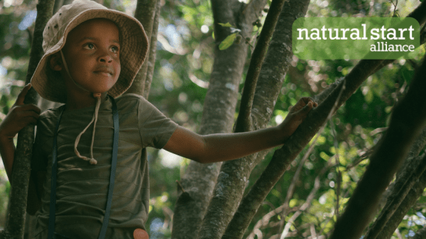 young black girl in tree