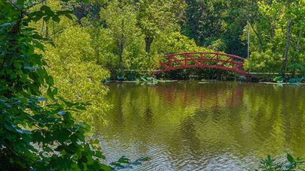 A small lake surrounded by forest in summer foliage. In the distance, a red arched bridge extends over a small portion of the lake. Above, blue sky.