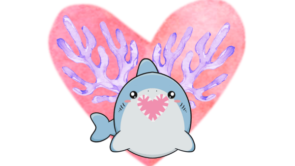 Love Bites Workshop Cartoon illustration of a shark in front of a heart and purple coral; text reads "Love Bites!" "Sharks in the Pacific Northwest (and the whales who love to eat them), A Whale Museum Workshop"