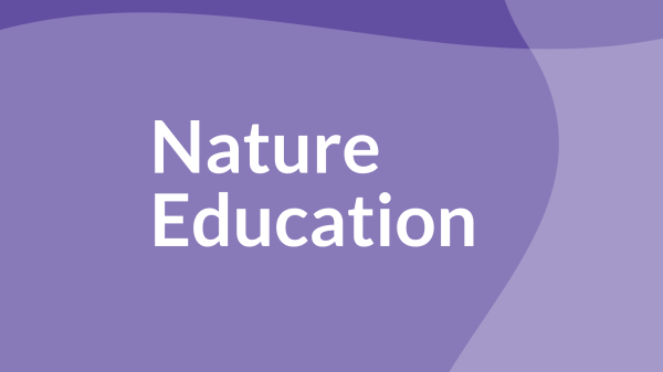 "Nature Educatin" on purple graphics 