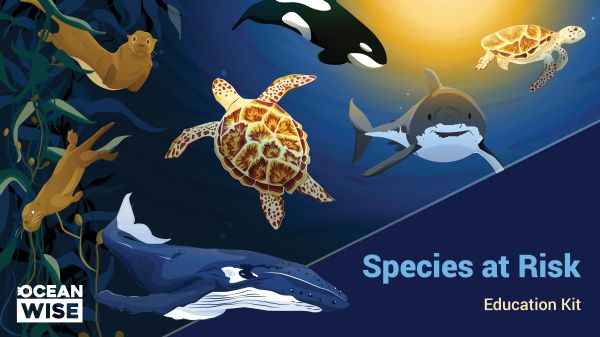 Species at Risk Education main cover 