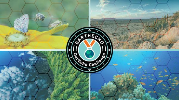 OurEcho Challenge Program Image An image depicitng for nature scenes with the OurEcho Challenge program badge in the middle. The nature scenes include: a bee on a flower, a desert scene, a coral reef scene with orange fish, and an aerial image of a forest surrounding a lake.