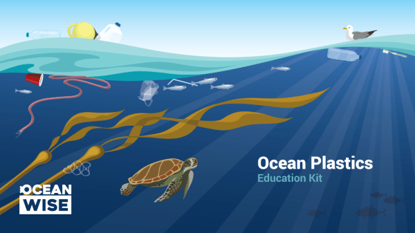 Ocean Plastics education kit main cover