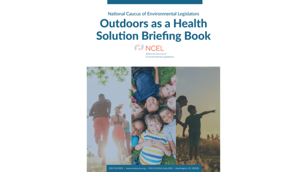 Outdoors as a Health Solution Briefing Book Book Cover