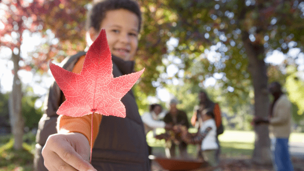 A smiling child holds a red leaf on a fall day in the park