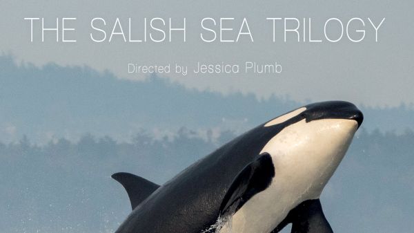 The Salish Sea Trilogy documentary series poster featuring an orca breaching the water, a boat, art of a salmon, and a person dragging netting out of the ocean