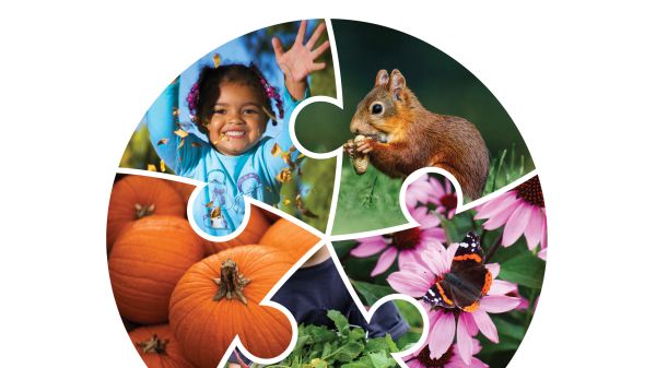 Cover of International Journal of Early Childhood  Environmental Education Addressing Policy, Practice, and Research That Matters,  Volume 12, Number 2