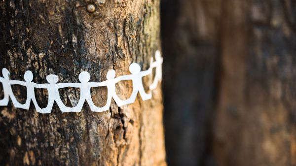 A paper chain with human silhouettes wrapped around a tree trunk
