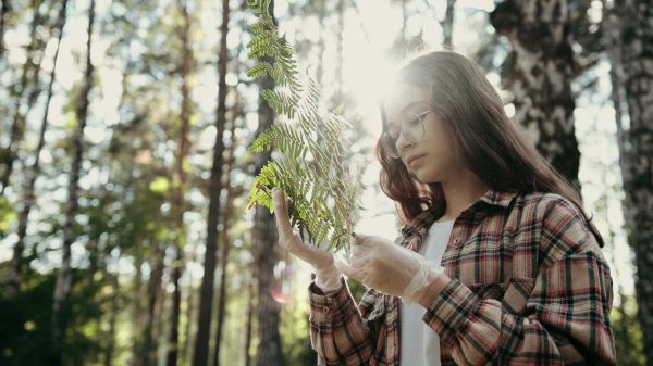 Child holds a magnifying glass to a fern